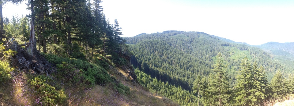 Typical Oakridgey views on Lawler Trail.