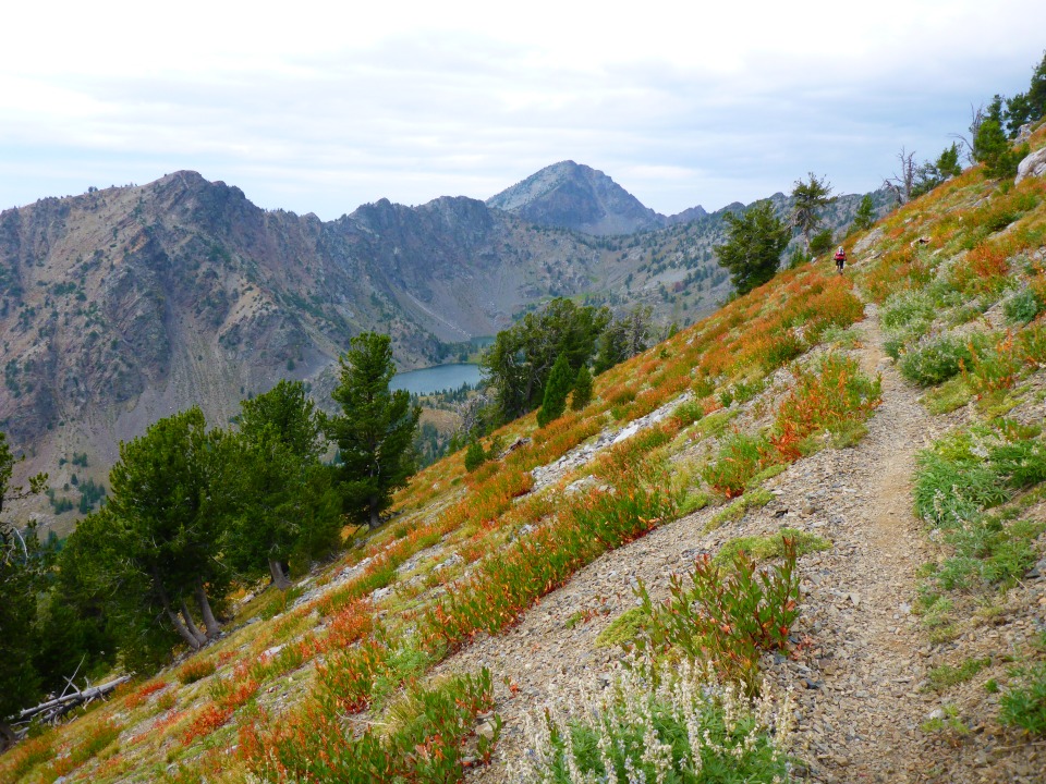 Pinky approaches Twin Lakes on the Elkhorn Crest Trail